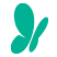 MSN India